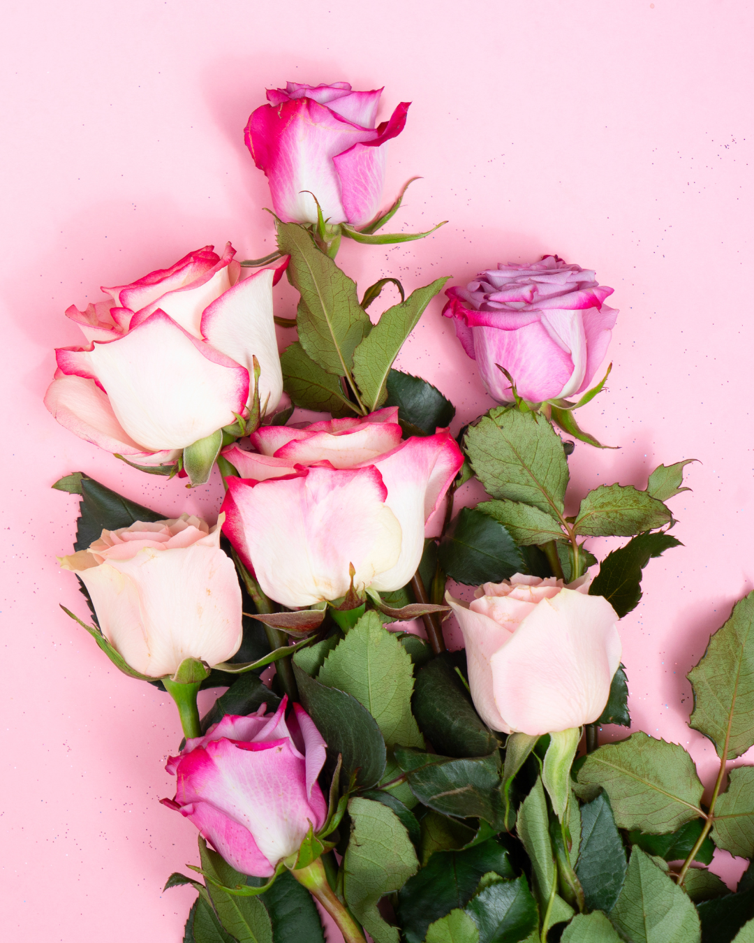 ★早割★お母さんありがとう「ROSE」PINK